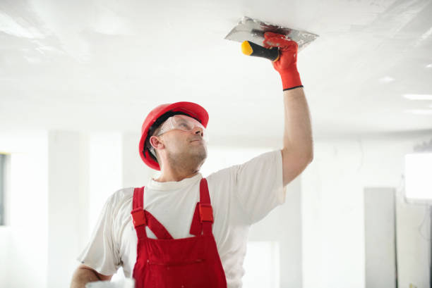 Best Wallpaper Removal and Painting  in South Coventry, CT